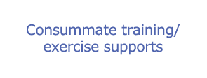 Consummate training/exercise supports