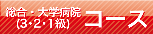 �y���i�̑匴�@���ٍZ�z�@��Î����u���@�����E��w�a�@(3�E2�E1��)�R�[�X