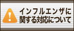 �V�^�C���t���G���U
