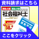 �V�p���t���b�g����