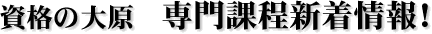 ���i�̑匴�@���ے��V�����