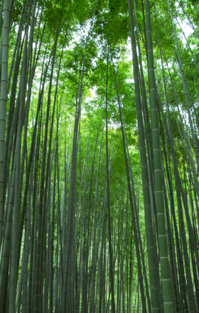 横浜のイメージ