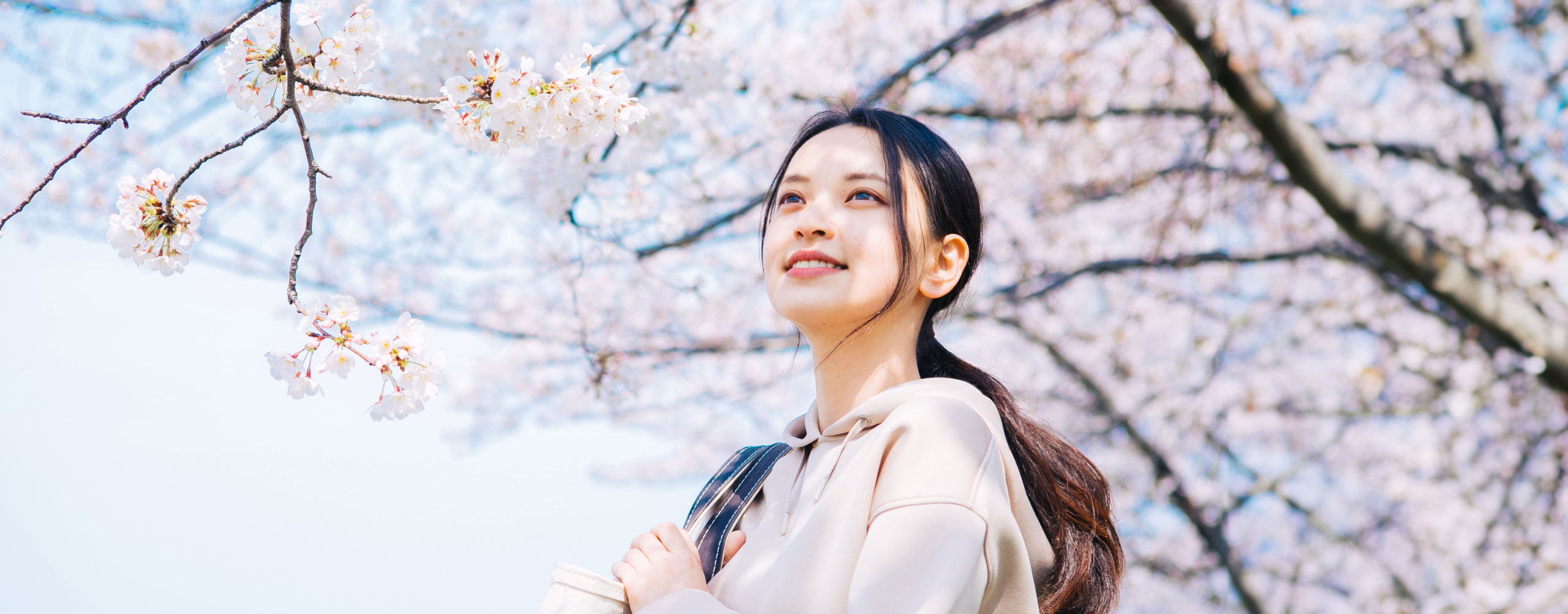 一般入学