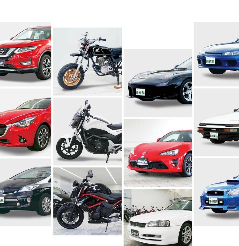 実習車ラインナップ