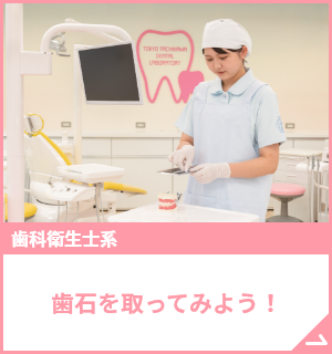 歯石を取ってみよう！