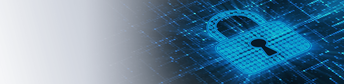 ネットワークセキュリティ