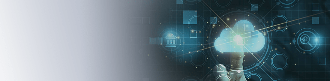 ITスペシャリスト　システム開発