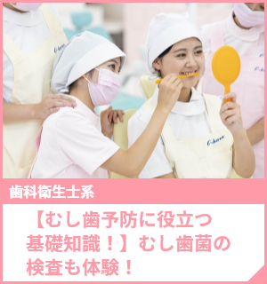 【むし歯予防に役立つ基礎知識！】むし歯菌の検査も体験！