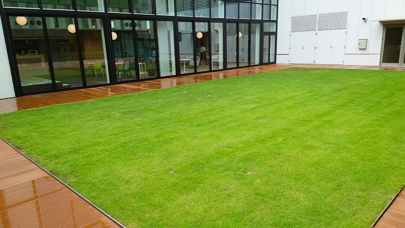 キャンパスコート