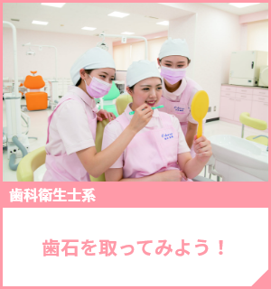 歯石を取ってみよう！